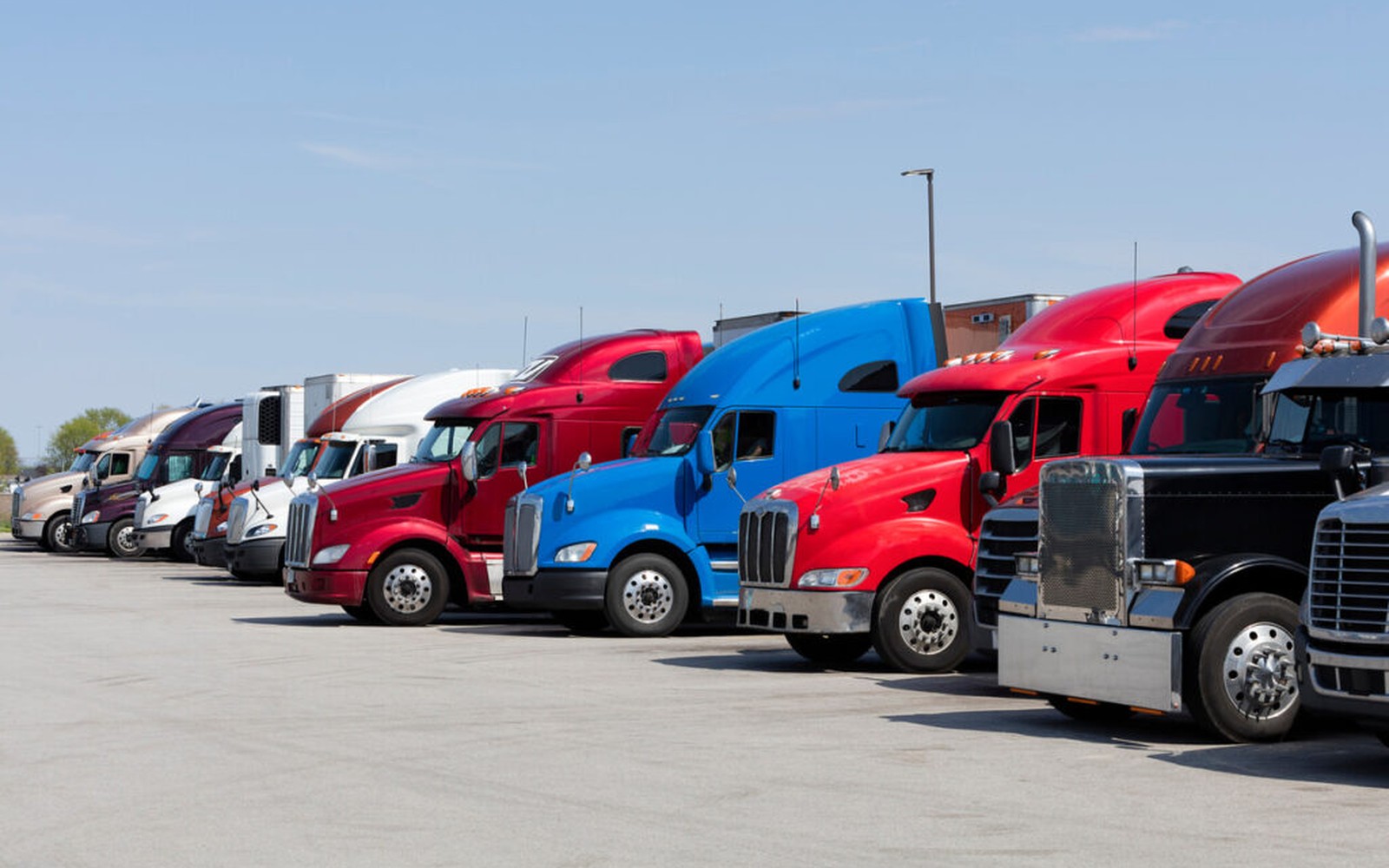  () has named Colorado-based  its 2025 Dealer of the Year. 