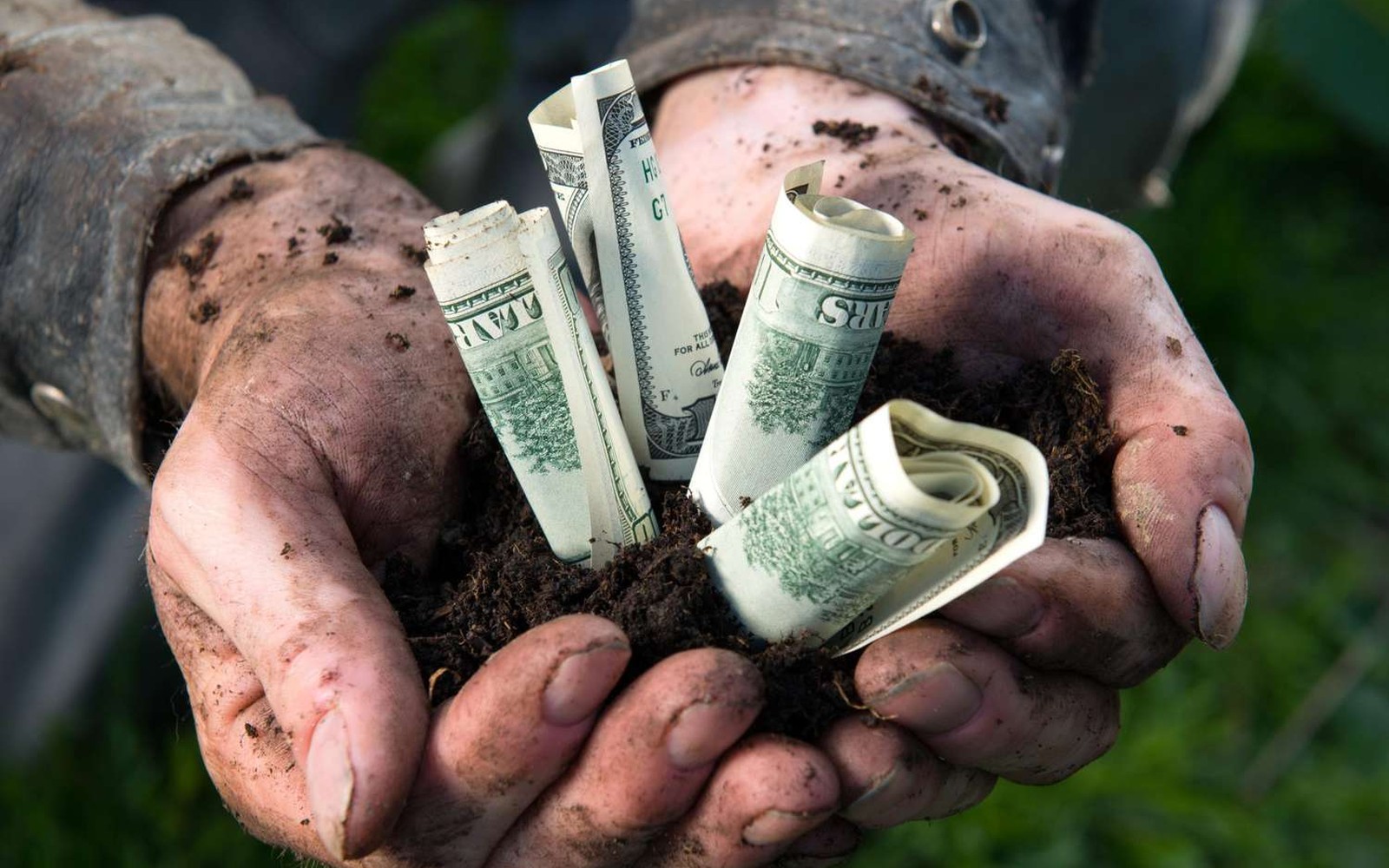 Agriculture & Farming