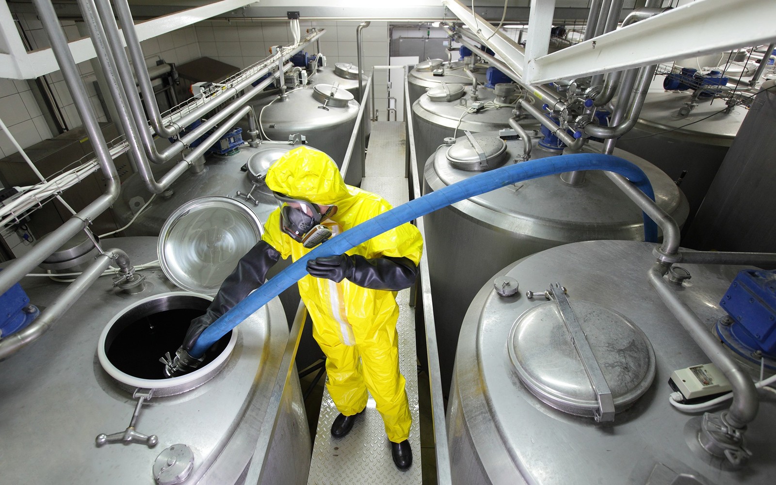 Food & Beverage Processing